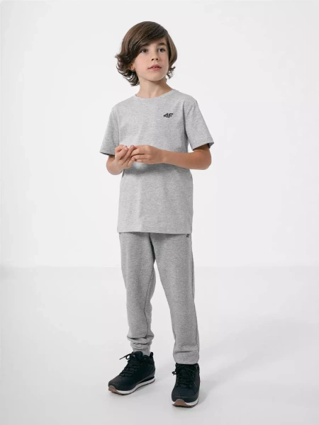 Koszulka dziecięca 4F HJZ22-JTSM001-27M