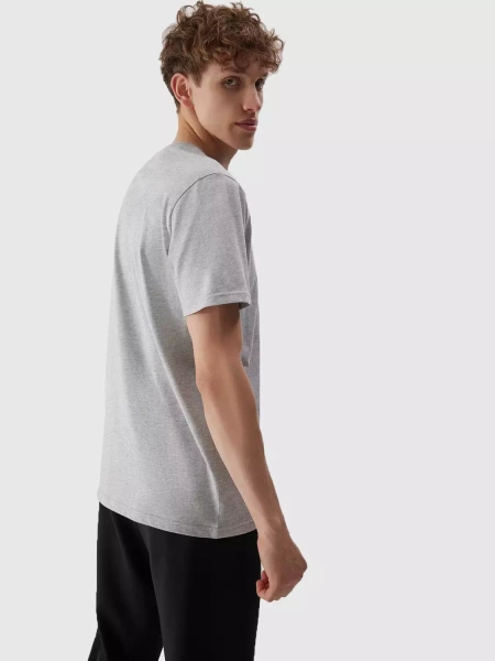 Koszulka męska 4F 4FAW23TTSHM0877-27M