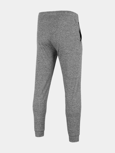 Spodnie dresowe męskie 4F 4FSS23TFTRM167-27M