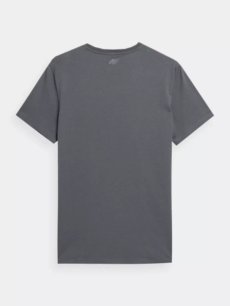 Koszulka męska 4F 4FSS23TTSHM305-25S