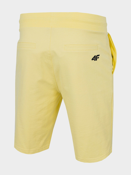 Spodenki męskie 4F H4L22-SKMD014-73S