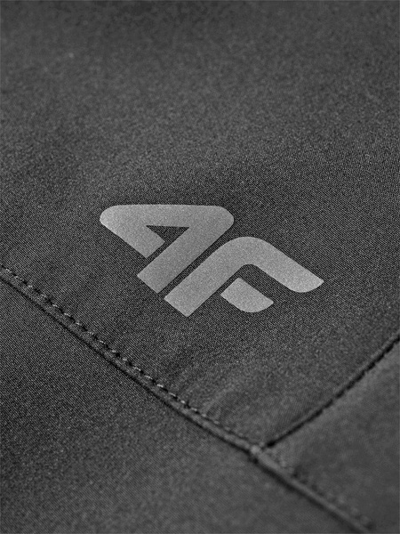 Spodnie męskie trekkingowe 4F H4Z21-SPMT001-20S