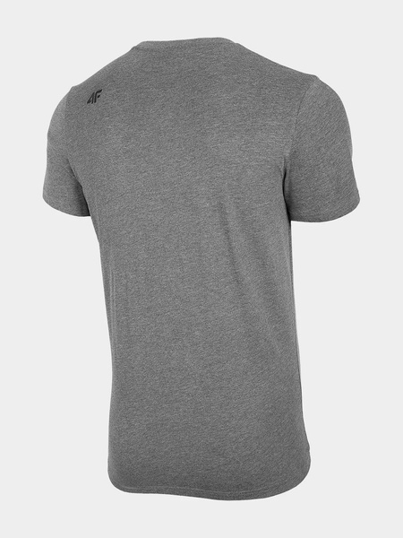 Koszulka męska 4F 4FSS22TTSHM200-24M