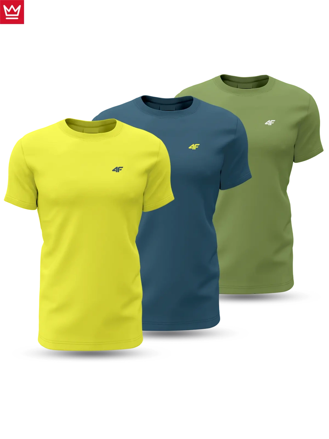 Koszulka męska 4F 4FWSS24TTSHM1896-90S 3PAK