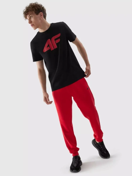 Koszulka męska 4F 4FAW23TTSHM0877-21S