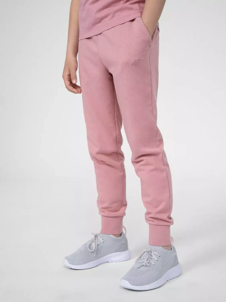 Spodnie dresowe dziecięce 4F 4FJSS23TTROF130-54S