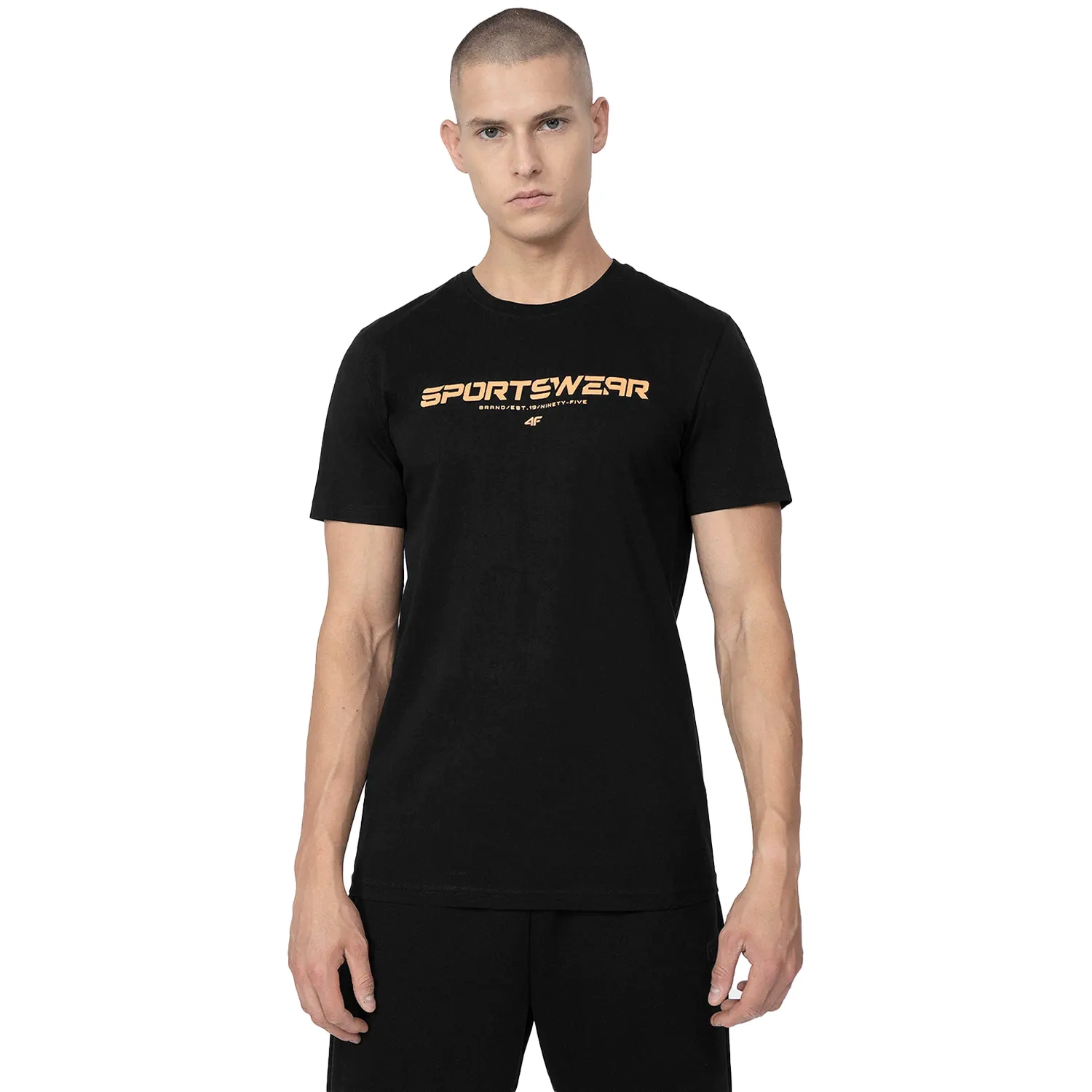 Koszulka męska 4F 4FSS23TTSHM364-20S