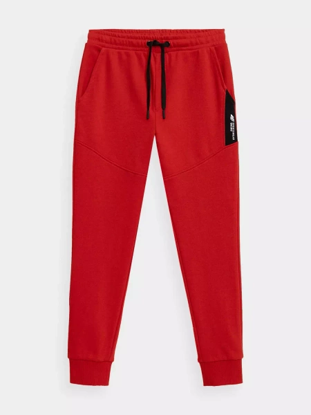Spodnie dresowe dziecięce 4F 4FJSS23TTROM132-62S