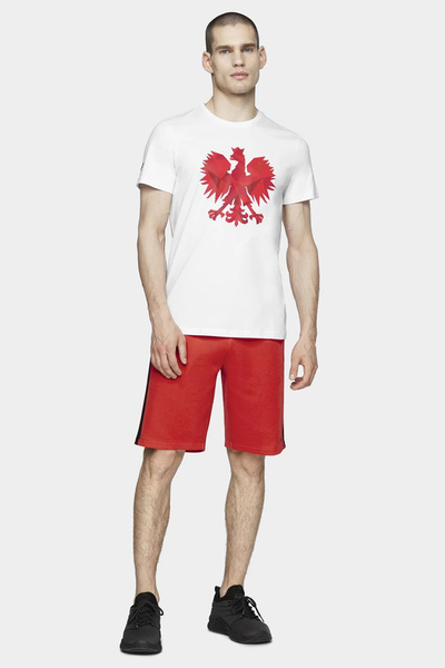 Koszulka męska 4F D4L20-TSM500-10S