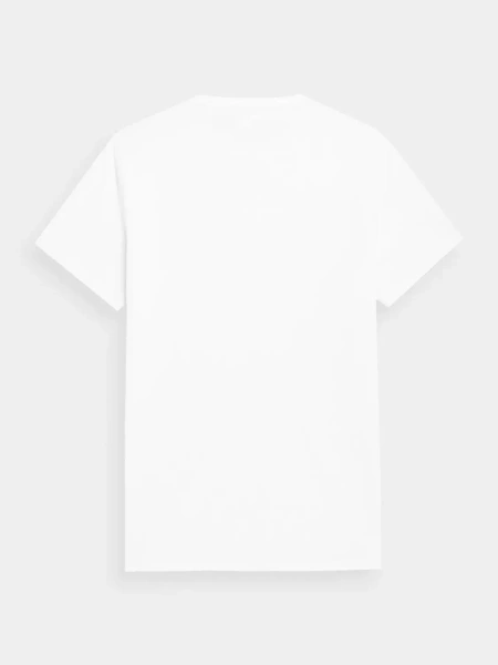 Koszulka męska 4F 4FSS23TTSHM311-10S