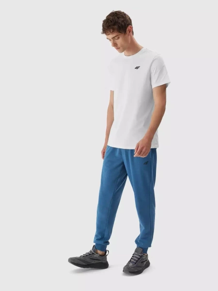 Koszulka męska 4F 4FAW23TTSHM0876-10S