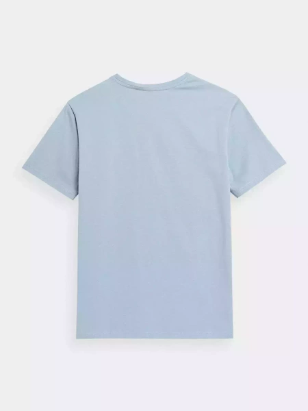 Koszulka męska 4F 4FSS23TTSHM1047-34S