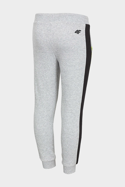 Spodnie dresowe dziecięce 4F HJZ20-JSPMD006-25M