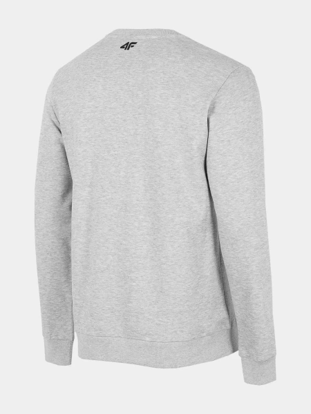 Bluza męska 4F H4Z22-BLM350-27M