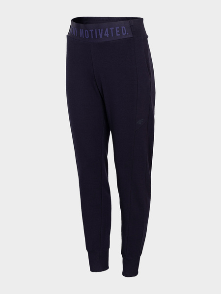 Spodnie dresowe damskie 4F H4L21-SPDD013-31S