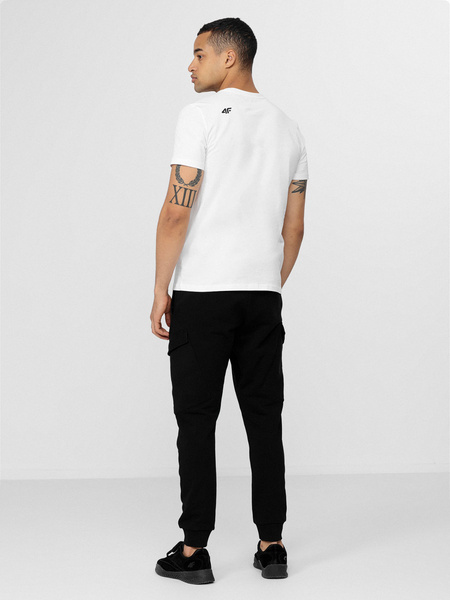 Spodnie dresowe męskie 4F H4L22-SPMD011-20S