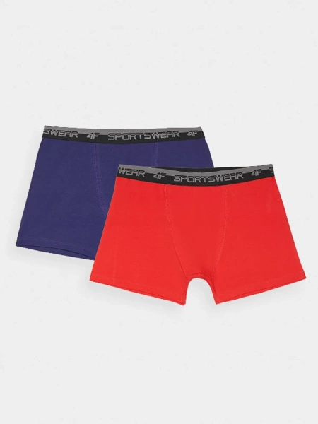 Bokserki 4F męskie 4FWMM00UBXSM051-31S (2-PAK)