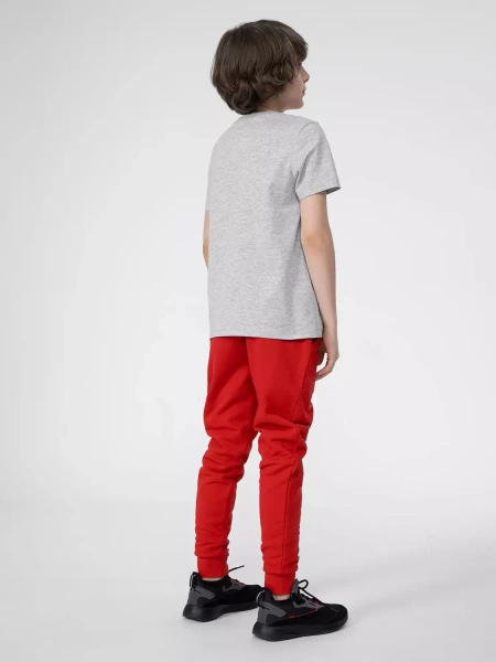 Koszulka dziecięca 4F 4FJSS23TTSHM293-27M