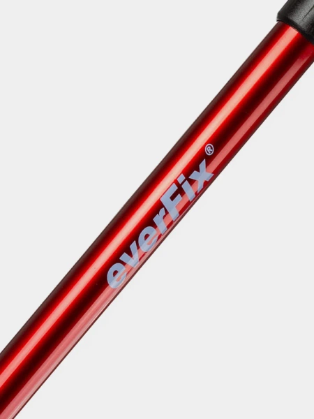 Kije trekkingowe BERGSON BTP-03