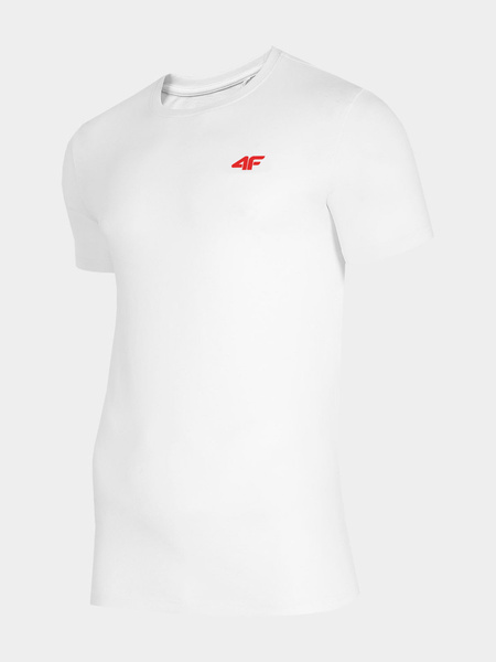 Koszulka męska 4F 4FSS22TTSHM200-10S