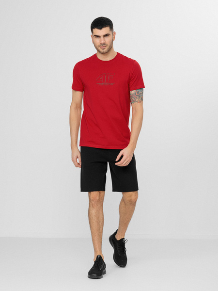 Koszulka męska 4F H4L22-TSM016-61S