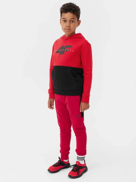 Bluza dziecięca z kapturem 4F 4FJAW23TSWSM628-62S