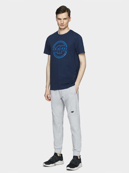 Koszulka męska 4F H4L21-TSM019-31S