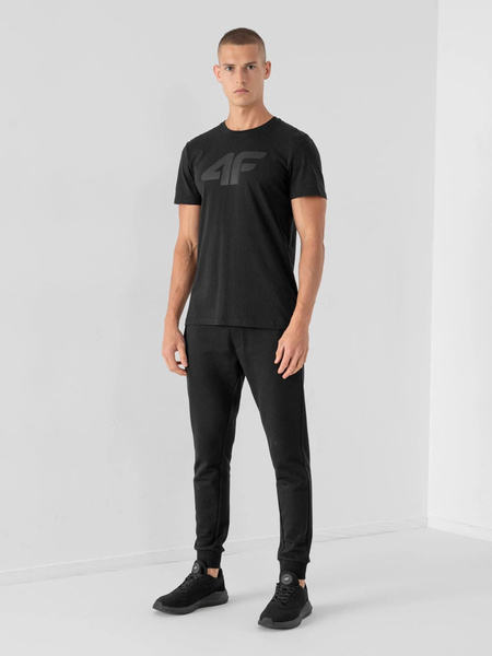 Spodnie dresowe męskie 4F NOSH4-SPMD350-20S