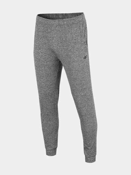 Spodnie dresowe męskie 4F 4FSS23TFTRM167-27M