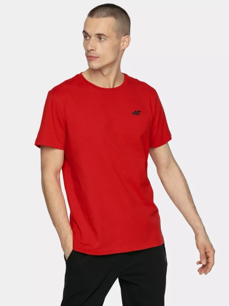 Koszulka męska 4F 4FAW22TTSHM697-90S 3-PAK