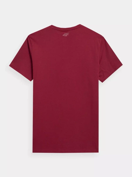 Koszulka męska 4F 4FSS23TTSHM305-61S