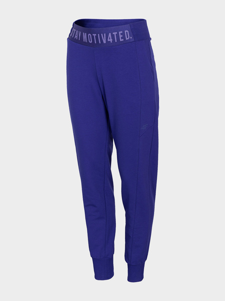 Spodnie dresowe damskie 4F H4L21-SPDD013-36S