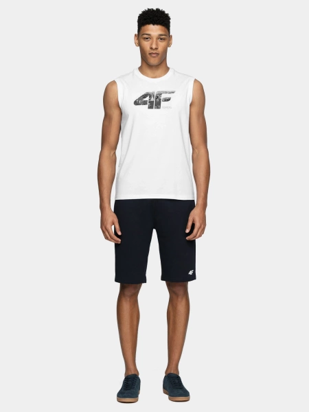 Koszulka męska 4F 4FWSS24TSLEM114-10S