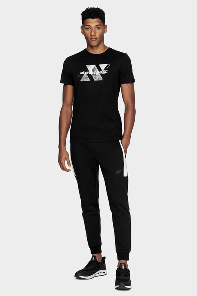 Spodnie dresowe męskie 4F H4Z20-SPMD016-20S