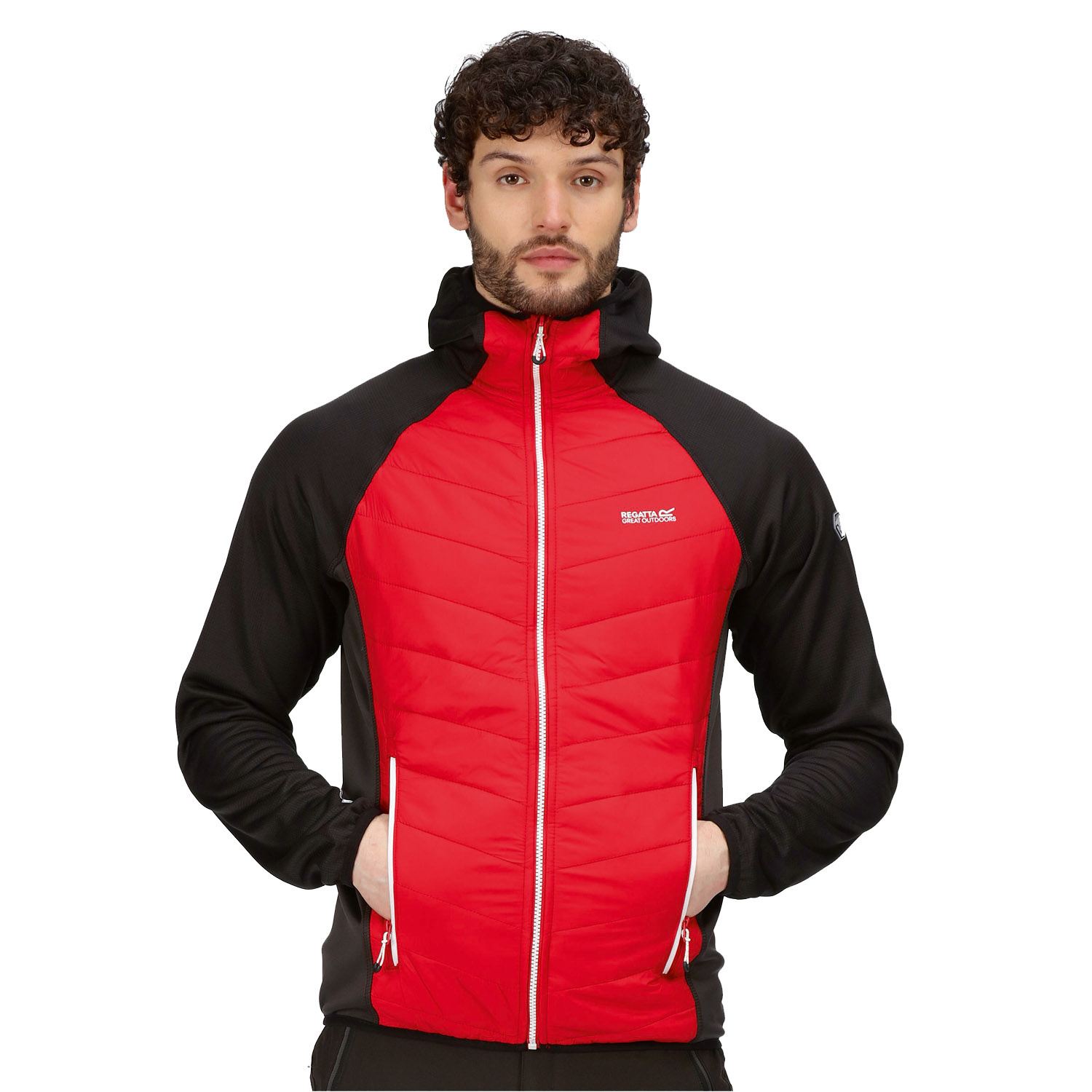 Kurtka męska REGATTA RMN158-F0R