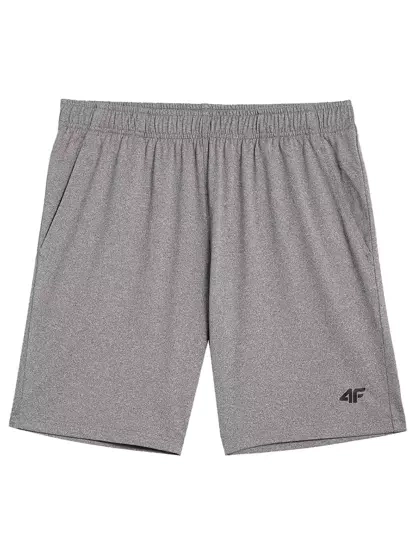 Spodenki męskie 4F 4FAW23TFSHM299-27M