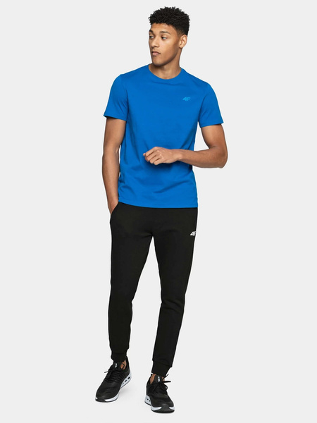 Spodnie dresowe męskie 4F 4FWSS24TTROM0973-20S