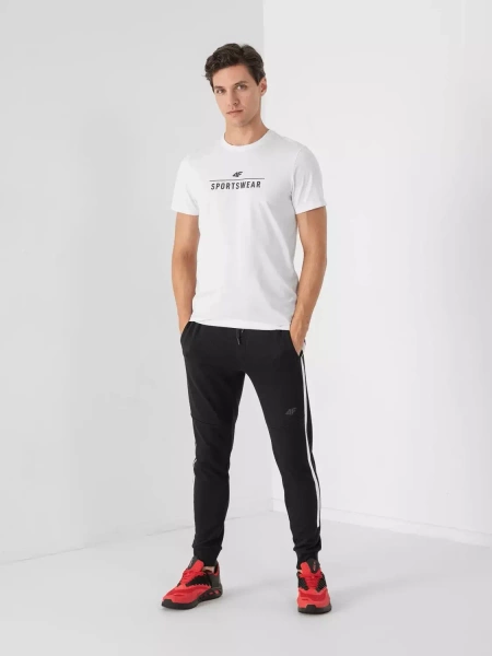 Koszulka męska 4F 4FSS23TTSHM539-10S