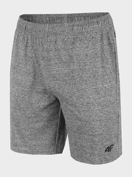 Spodenki męskie 4F H4L22-SKMF350-27M