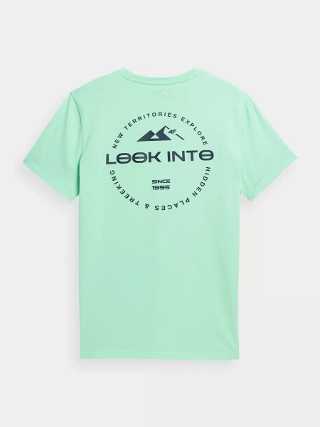 Koszulka męska 4F 4FSS23TTSHM486-42N