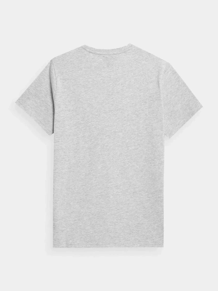 Koszulka męska 4F 4FMM00TTSHM706-27M 