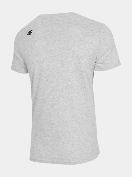 Koszulka męska 4F H4Z22-TSM353-27M