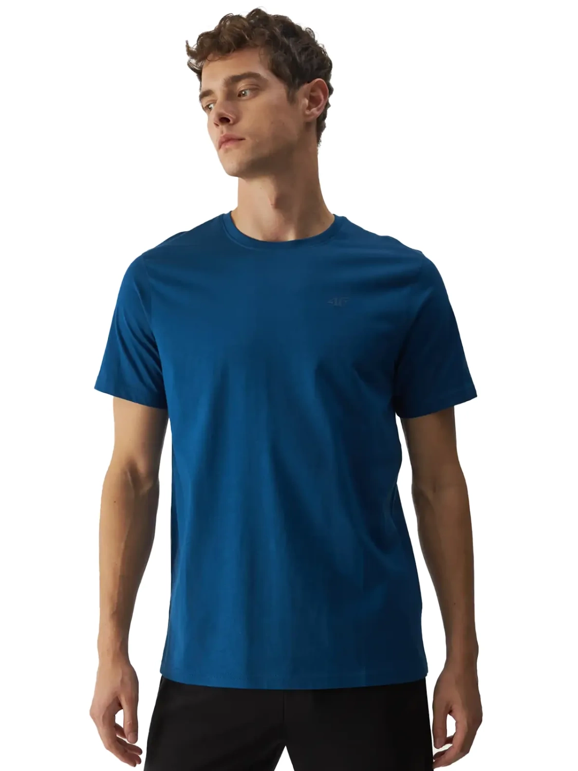 Koszulka męska 4F 4FWMM00TTSHM1843-46S