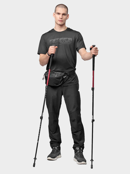 Spodnie męskie trekkingowe 4F H4L21-SPMTR062-20S