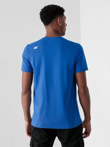 Koszulka męska 4F 4FSS22TTSHM200-36S