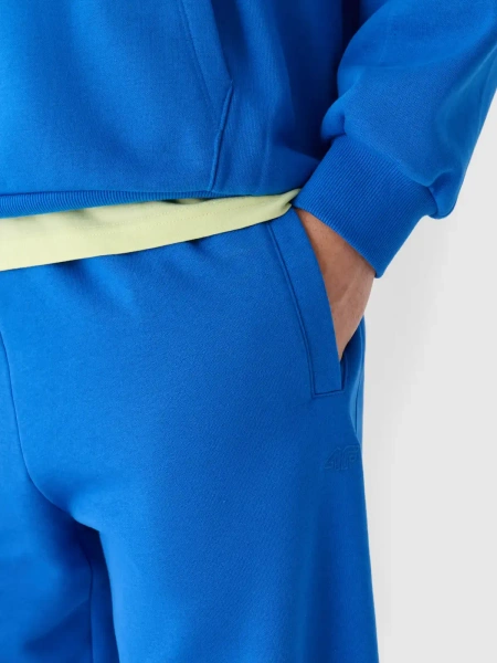 Spodnie dresowe męskie 4F 4FWAW24TTROM0824-36S