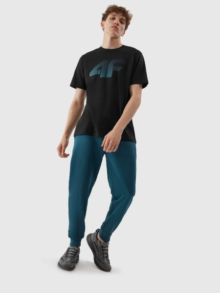 Koszulka męska 4F 4FWAW24TTSHM2423-20S