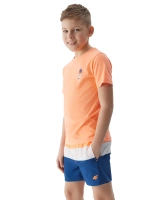 wielokolorowy