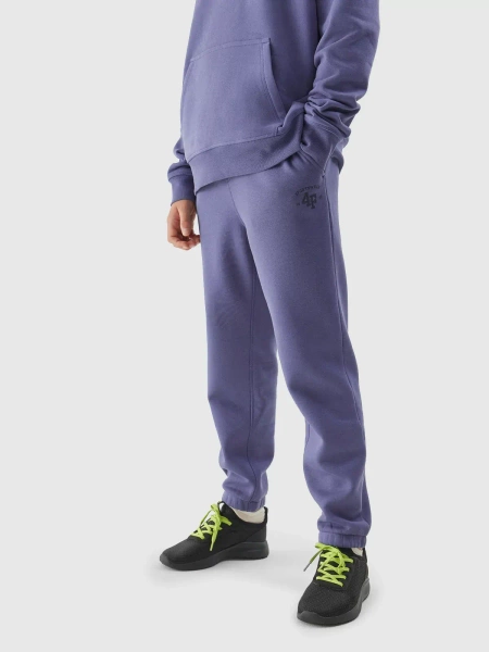 Spodnie dresowe dziecięce 4F 4FJAW23TTROM419-32S 