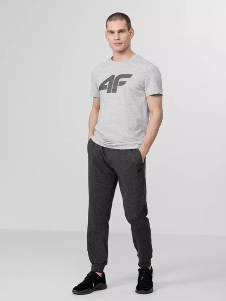 Koszulka męska 4F H4Z22-TSM353-27M